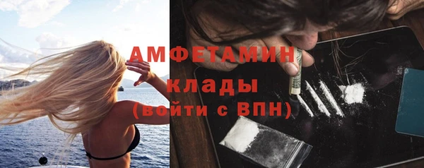 прущие грибы Балабаново