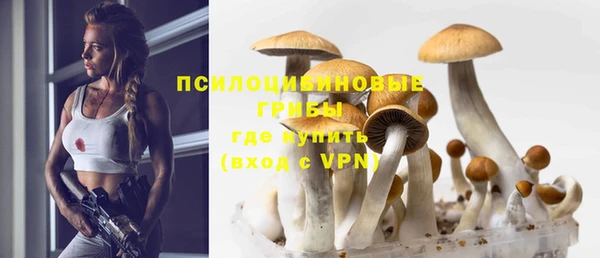 кокаин Белокуриха