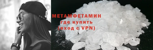 прущие грибы Баксан