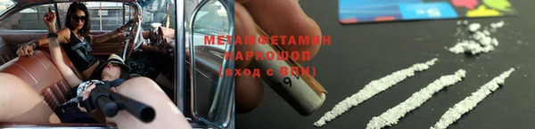 прущие грибы Баксан