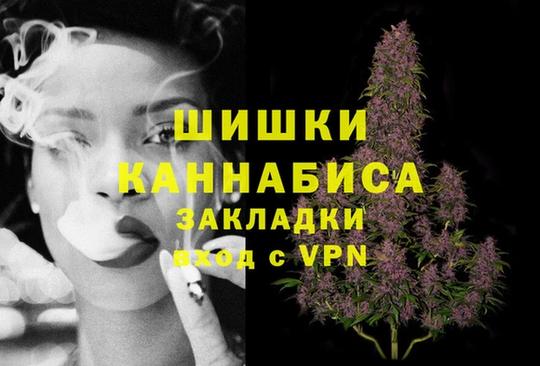 прущие грибы Баксан