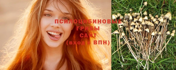 кокаин Белокуриха