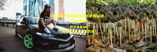 бутират Беломорск