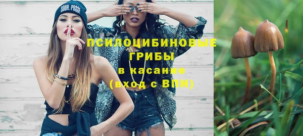 прущие грибы Баксан