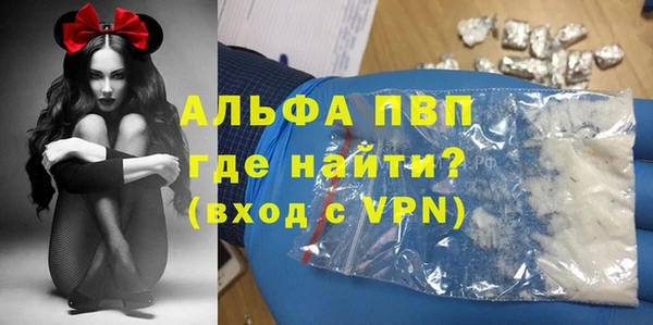 прущие грибы Баксан