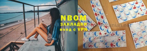 прущие грибы Балабаново