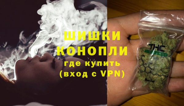 прущие грибы Балабаново