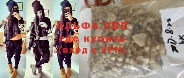 прущие грибы Балабаново
