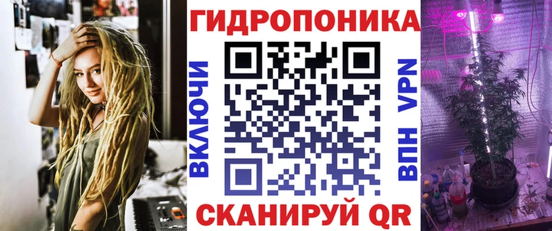 Каннабис OG Kush  Сковородино 